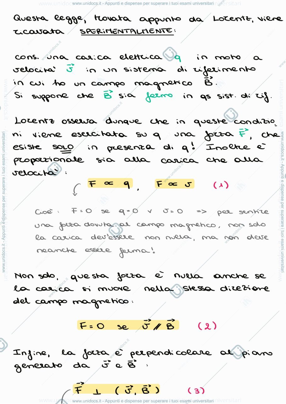 Anteprima pagina 4 — 3_Magnetismo