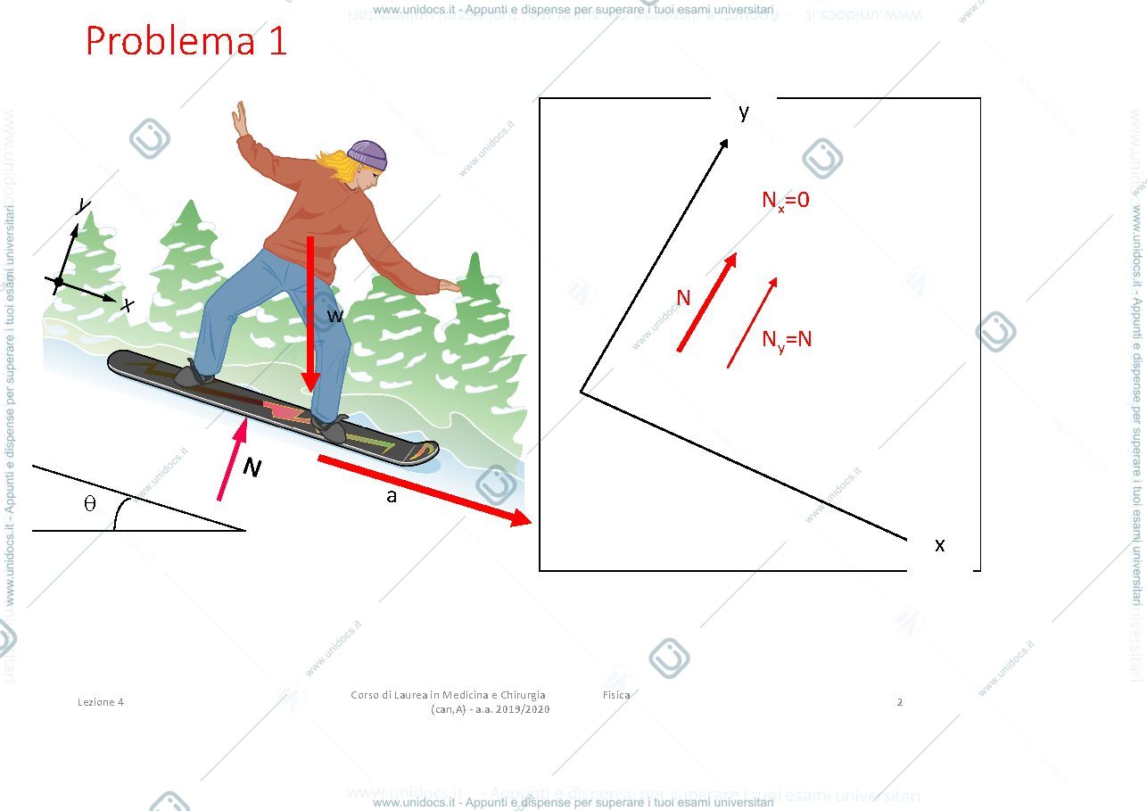 Anteprima pagina 2 — esercizi dinamica