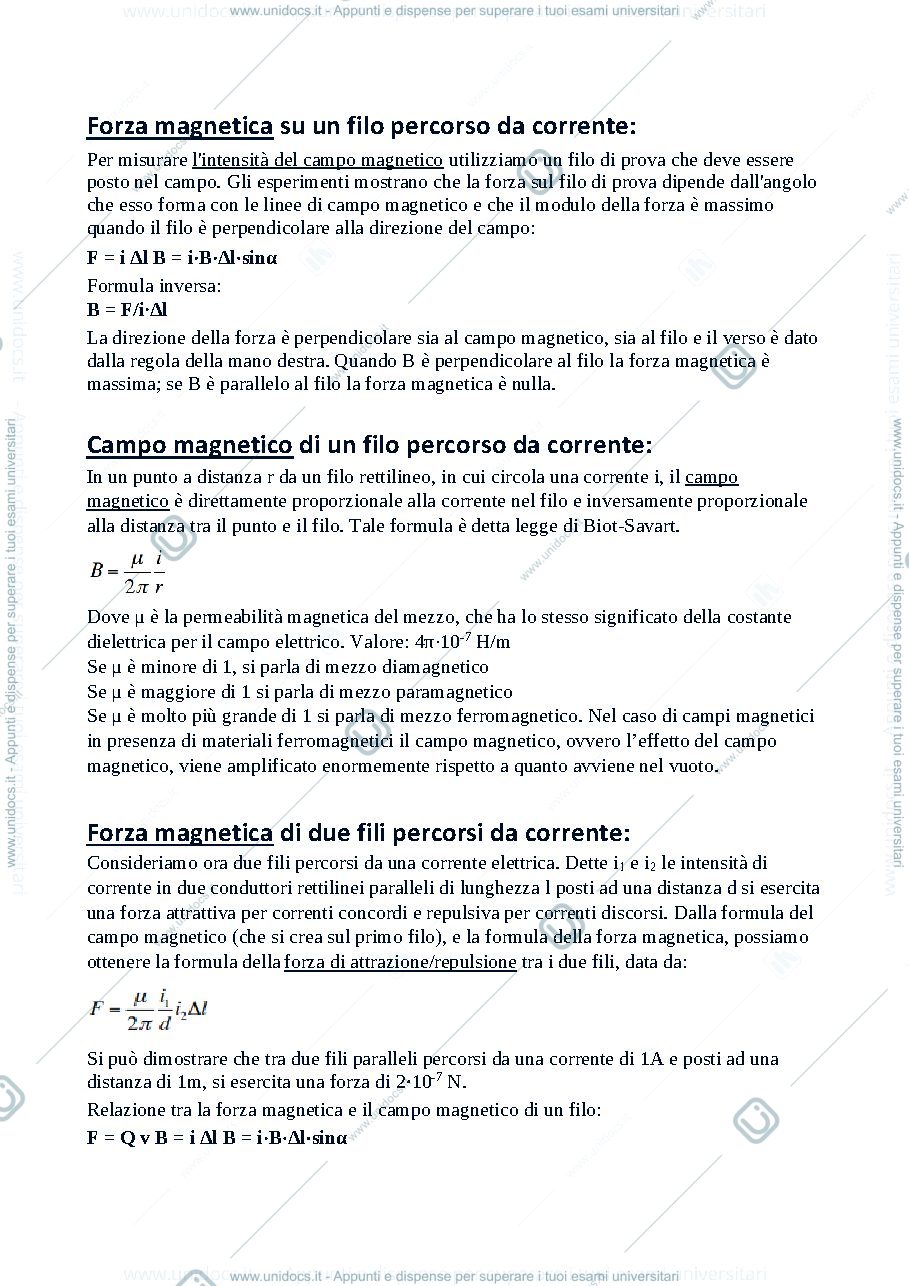 Anteprima pagina 2 — Campi magnetici