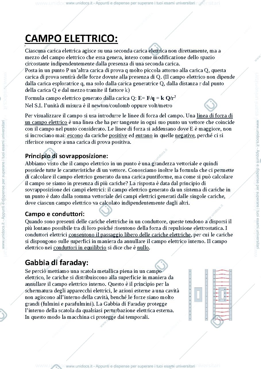 Anteprima pagina 3 — Campi elettrici