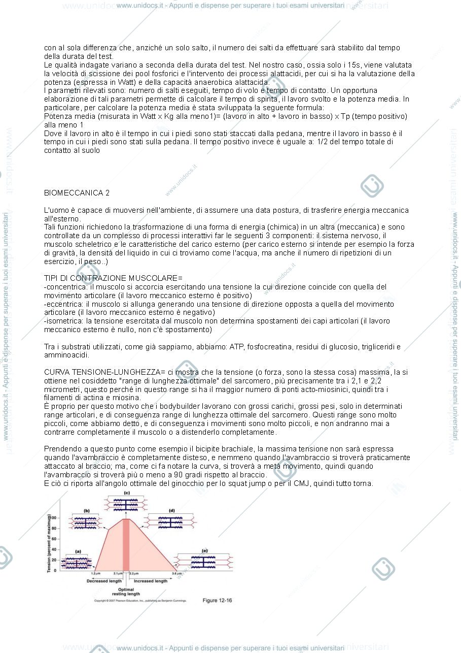 Anteprima pagina 3 — BIOMECCANICA 