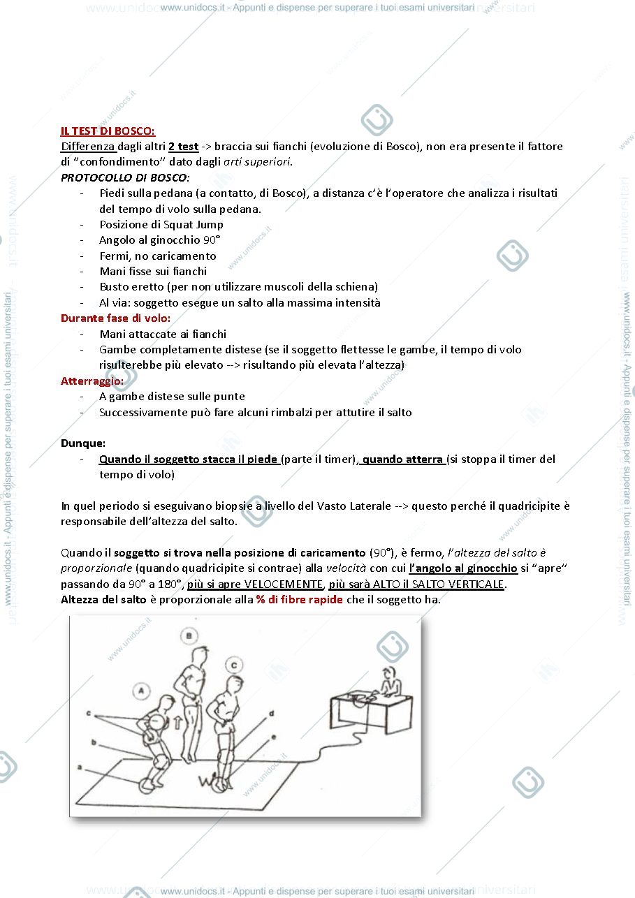 Anteprima pagina 2 — BIOMECCANICA