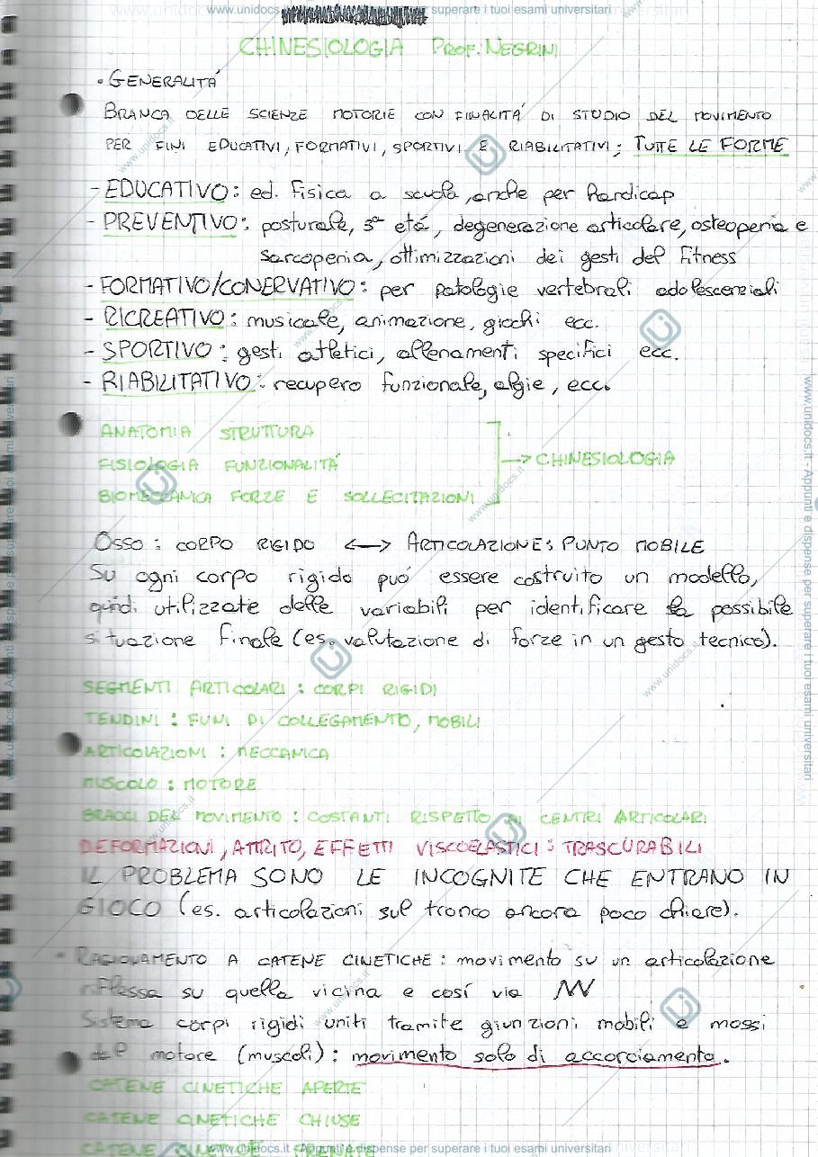 Anteprima pagina 1 — Chinesiologia articolare 