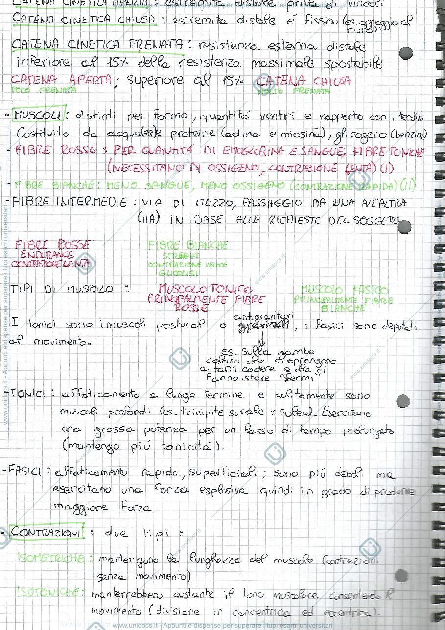 Anteprima pagina 2 — Chinesiologia articolare 