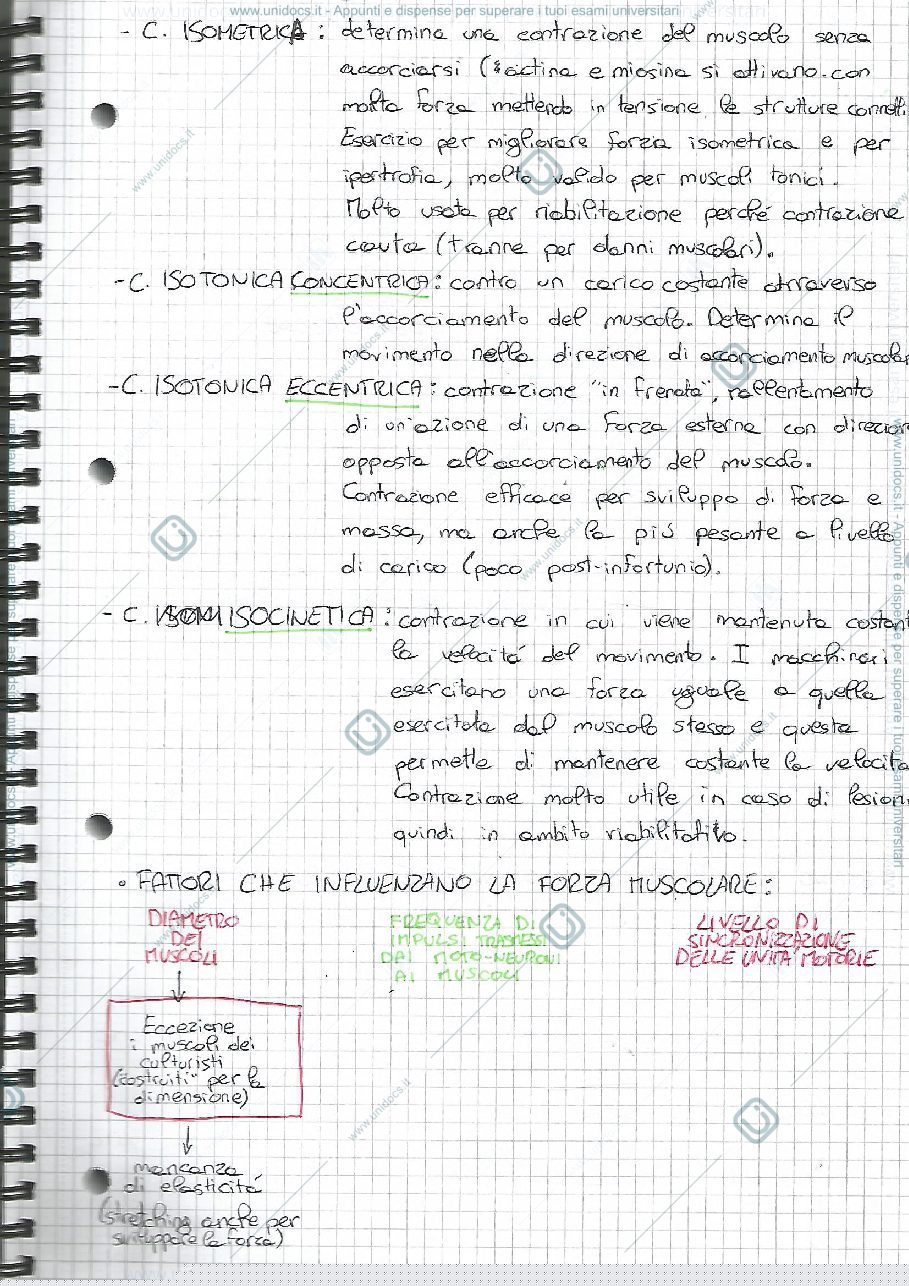 Anteprima pagina 3 — Chinesiologia articolare 