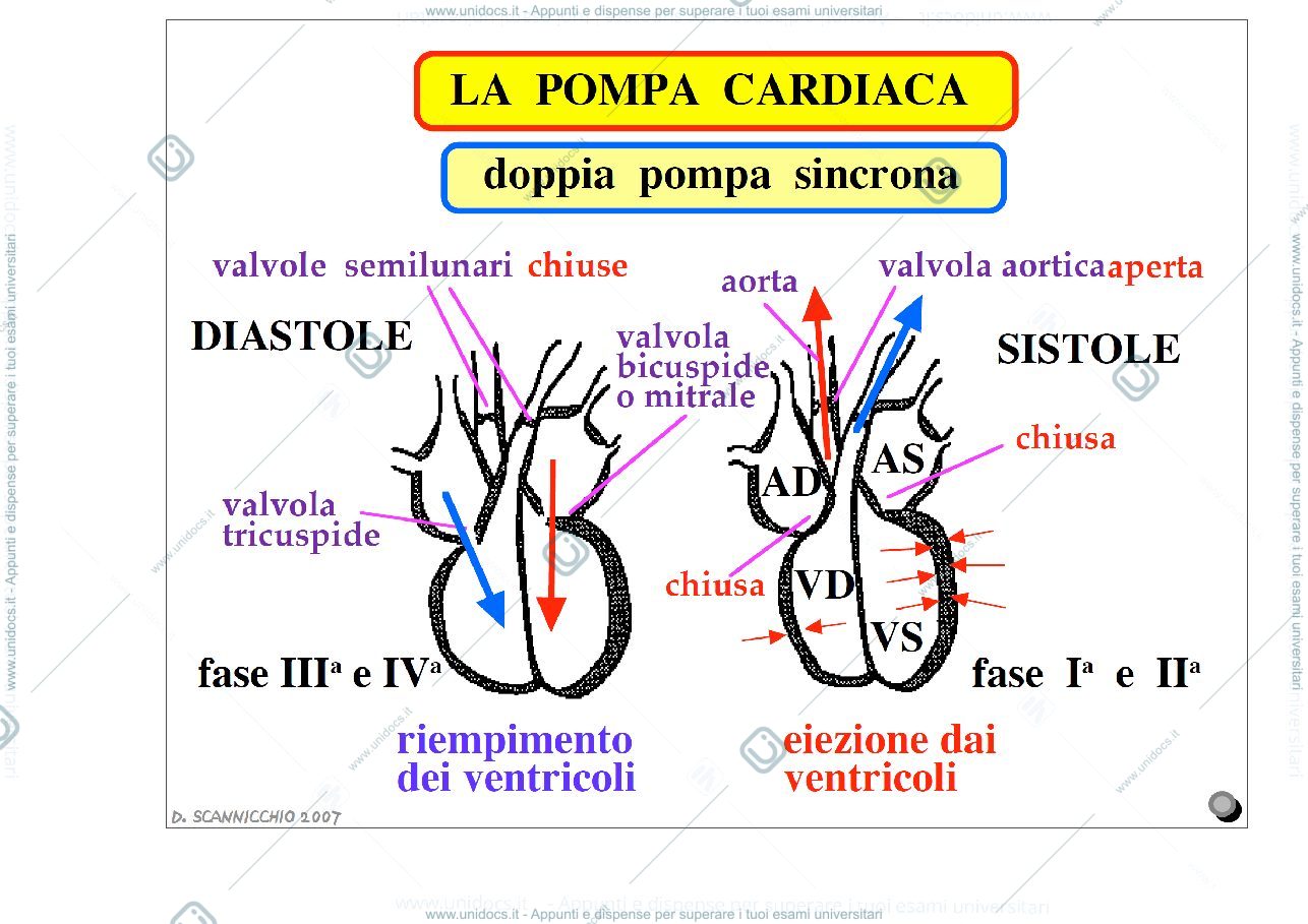 Anteprima pagina 1 — Cuore