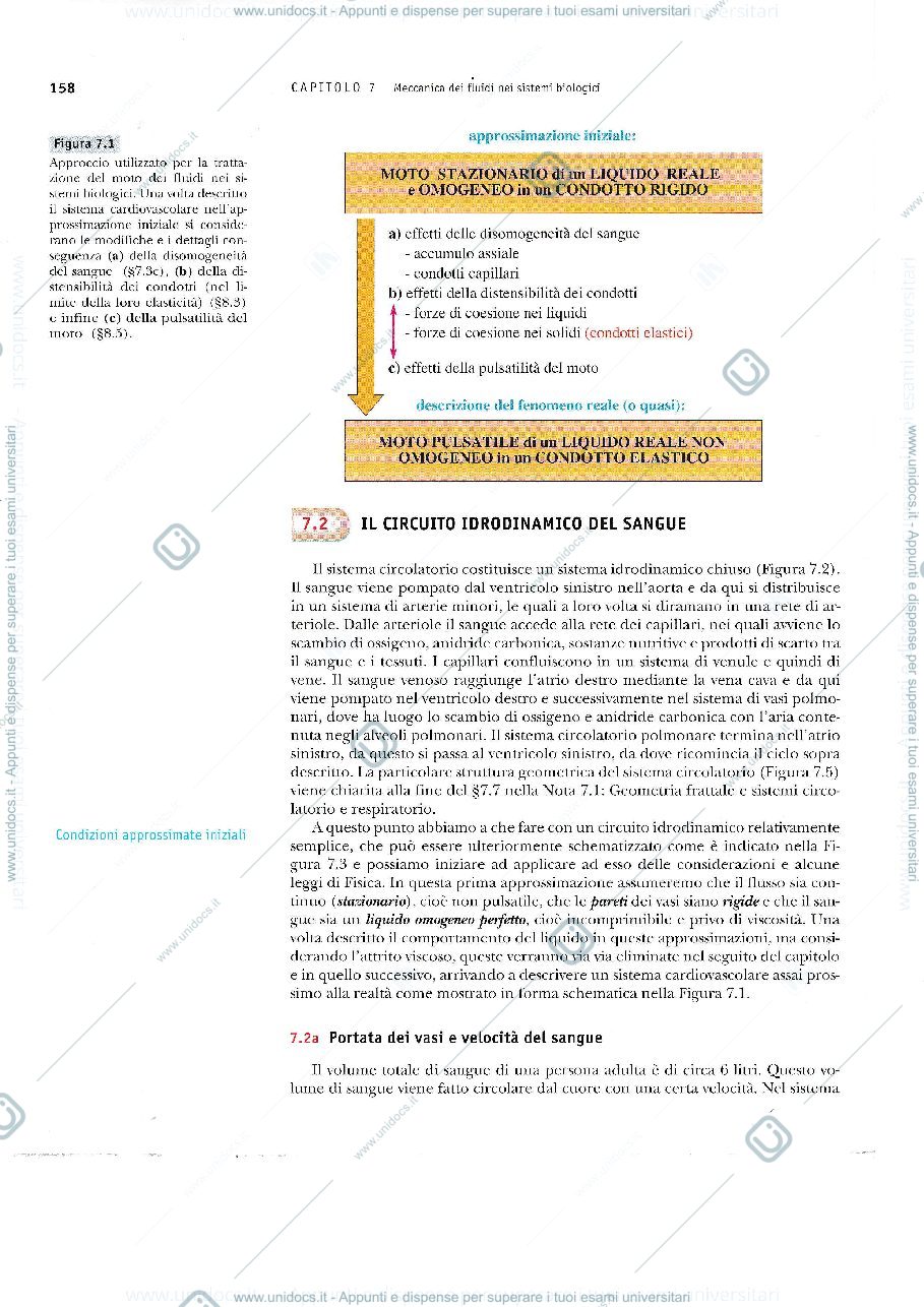 Anteprima pagina 2 — statistica medica