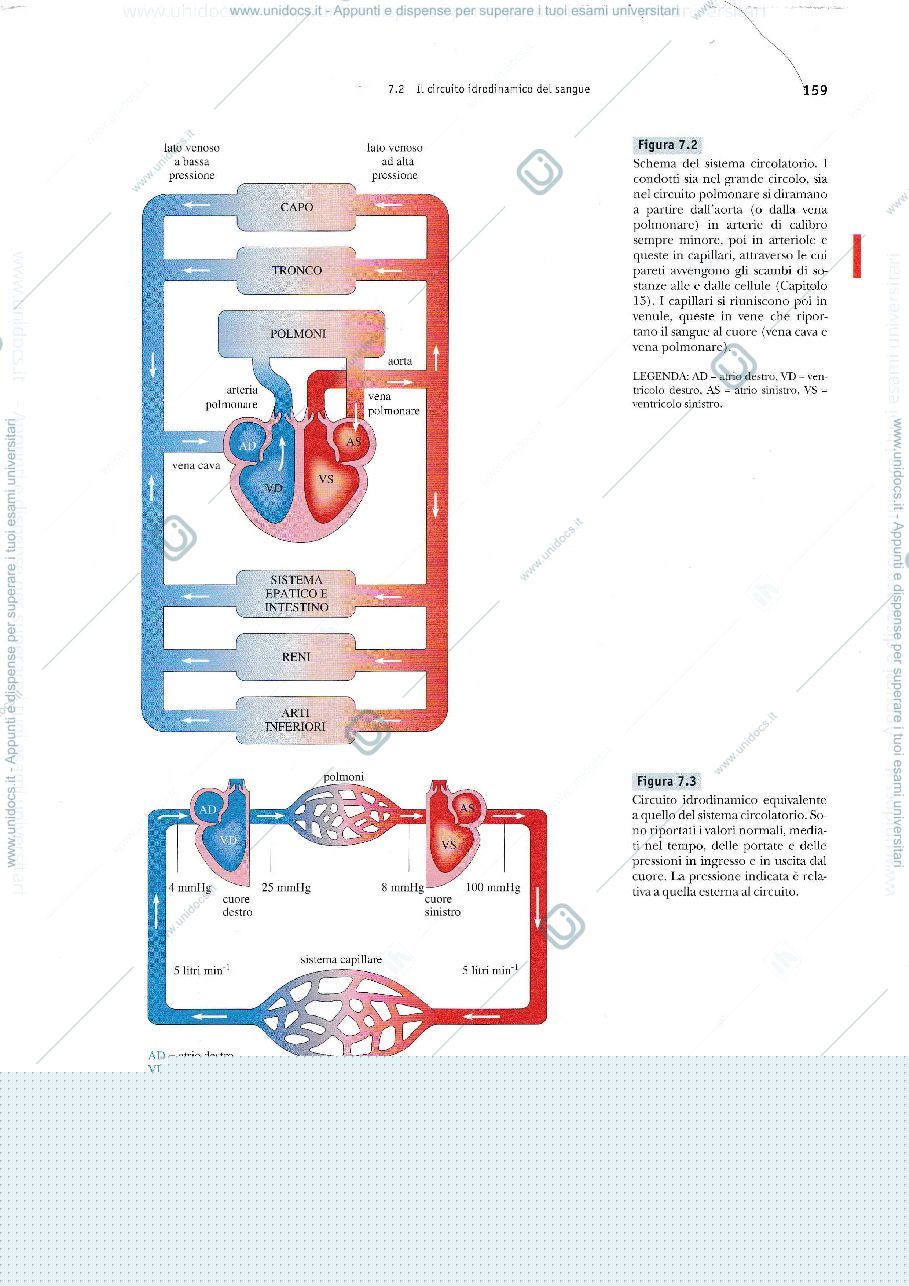 Anteprima pagina 3 — statistica medica