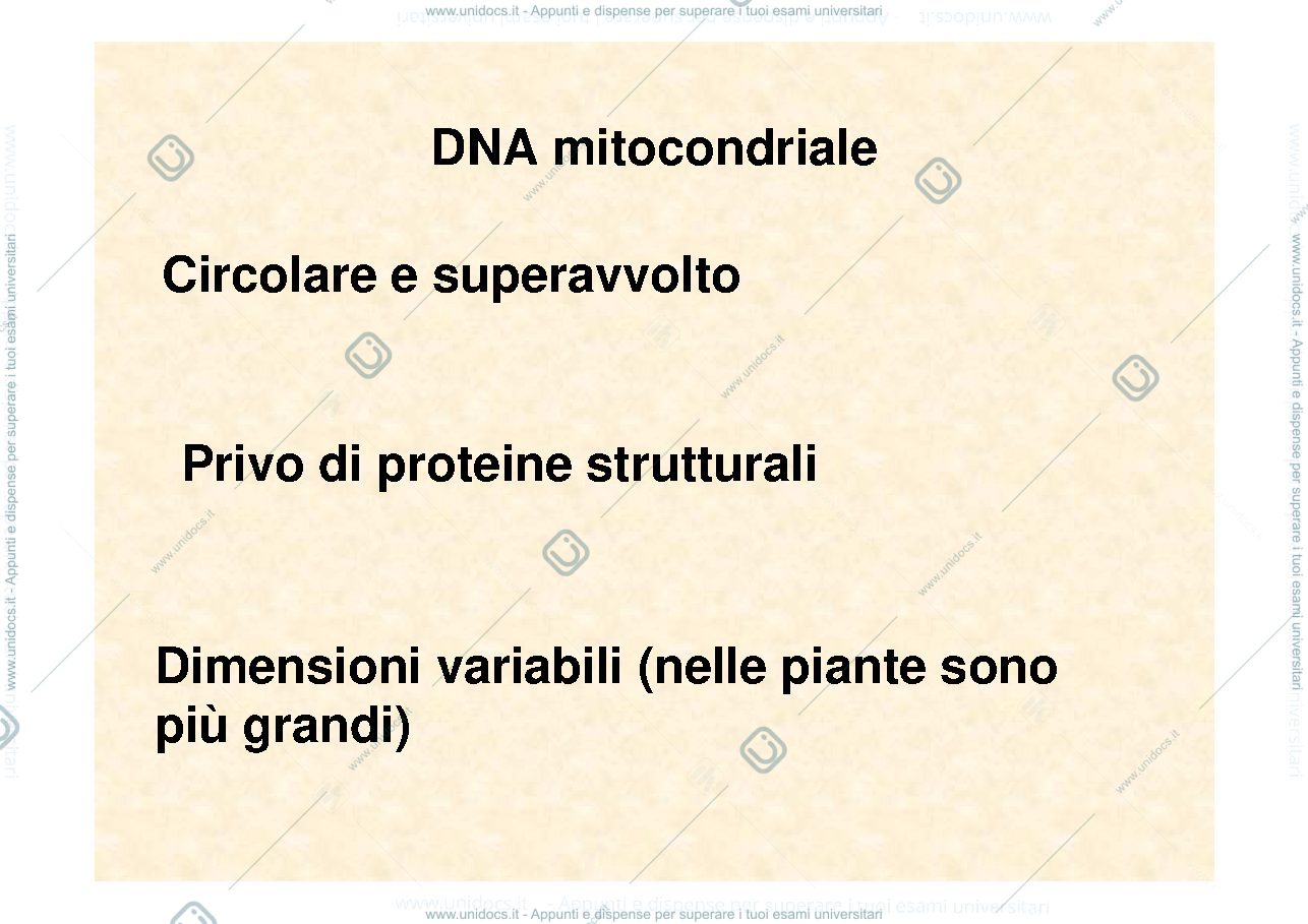 Anteprima pagina 3 — eredità citoplasmatica