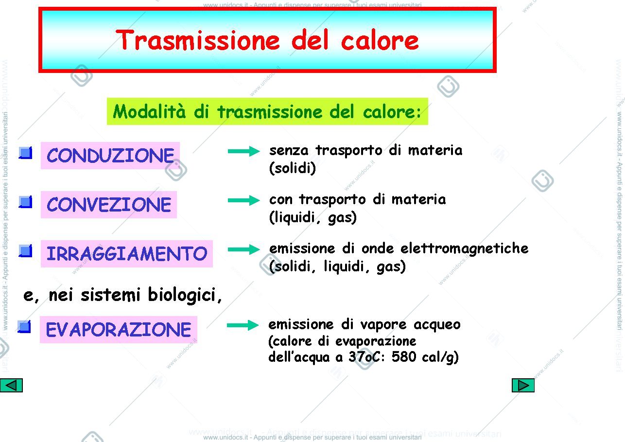 Anteprima pagina 2 — termoregolazione