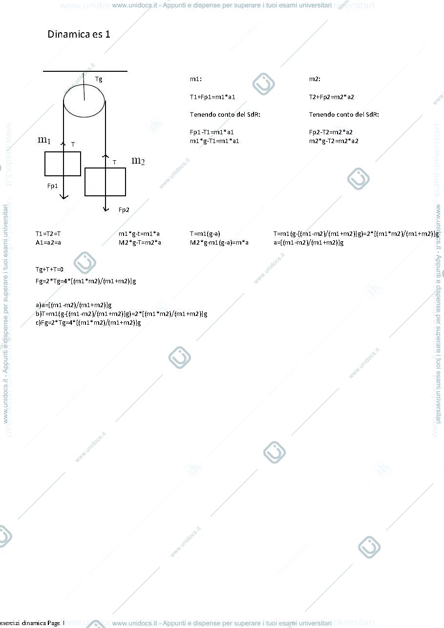 Anteprima pagina 1 — Fisica