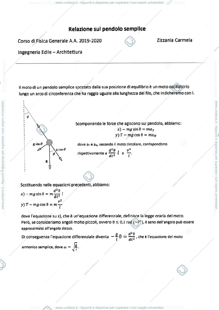 Anteprima pagina 1 — Relazioni - Fisica Generale