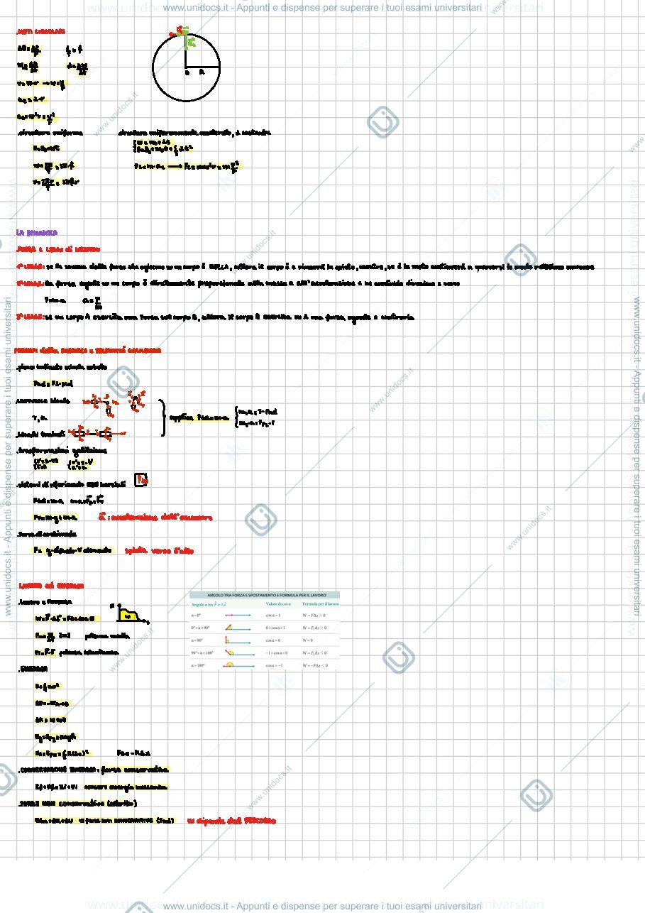 Anteprima pagina 3 — Riassunto e formulario