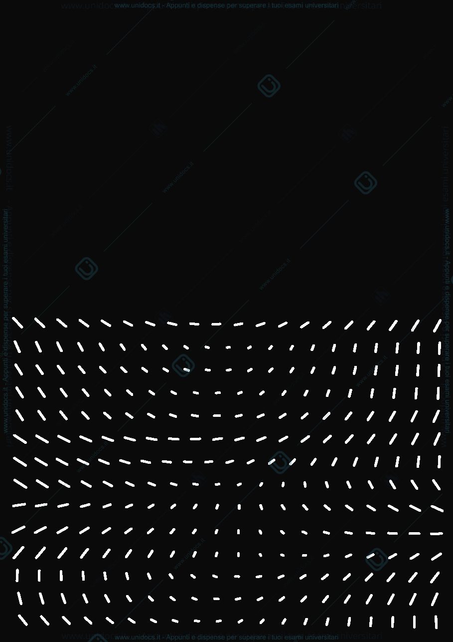 Anteprima pagina 1 — Fisica 2