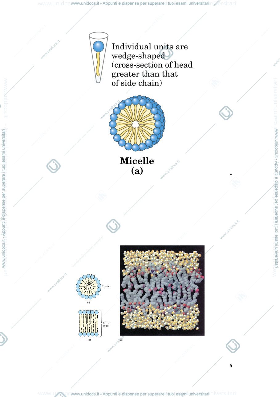 Anteprima pagina 4 — STRUTTURE SECONDARIE