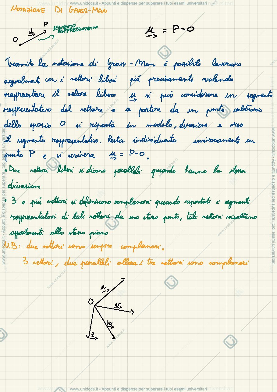 Anteprima pagina 2 — Vettori liberi ed applicati