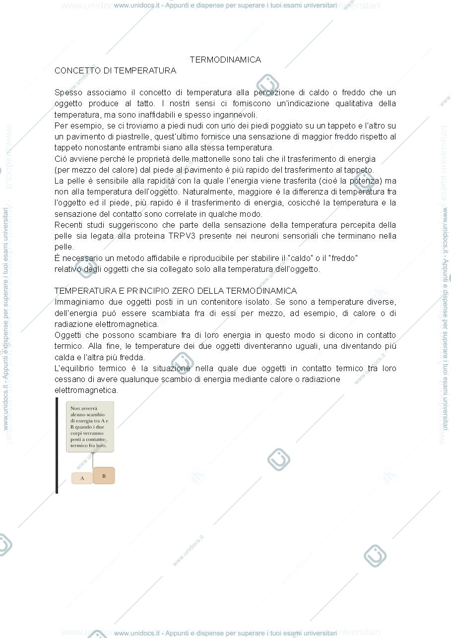 Anteprima pagina 1 — Power point fisica