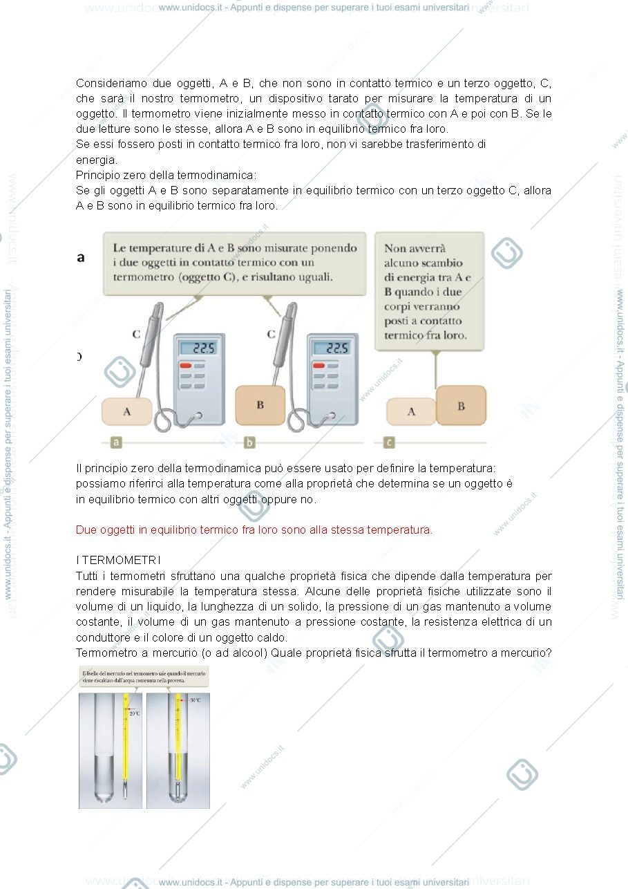 Anteprima pagina 2 — Power point fisica