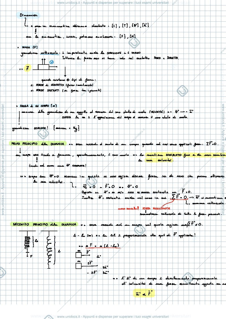 Anteprima pagina 1 — Fisica - Dinamica