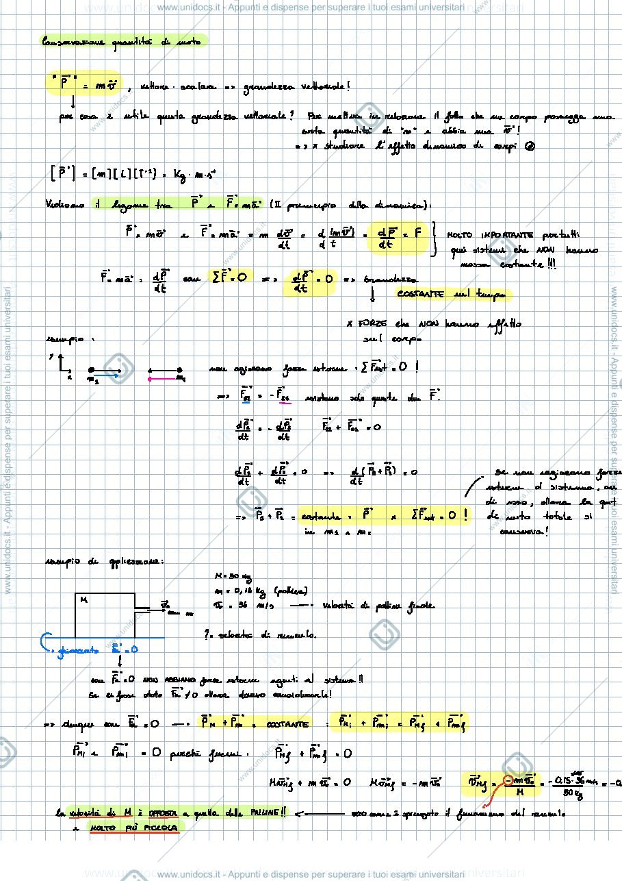 Anteprima pagina 1 — Fisica - conservazione della quantità di moto