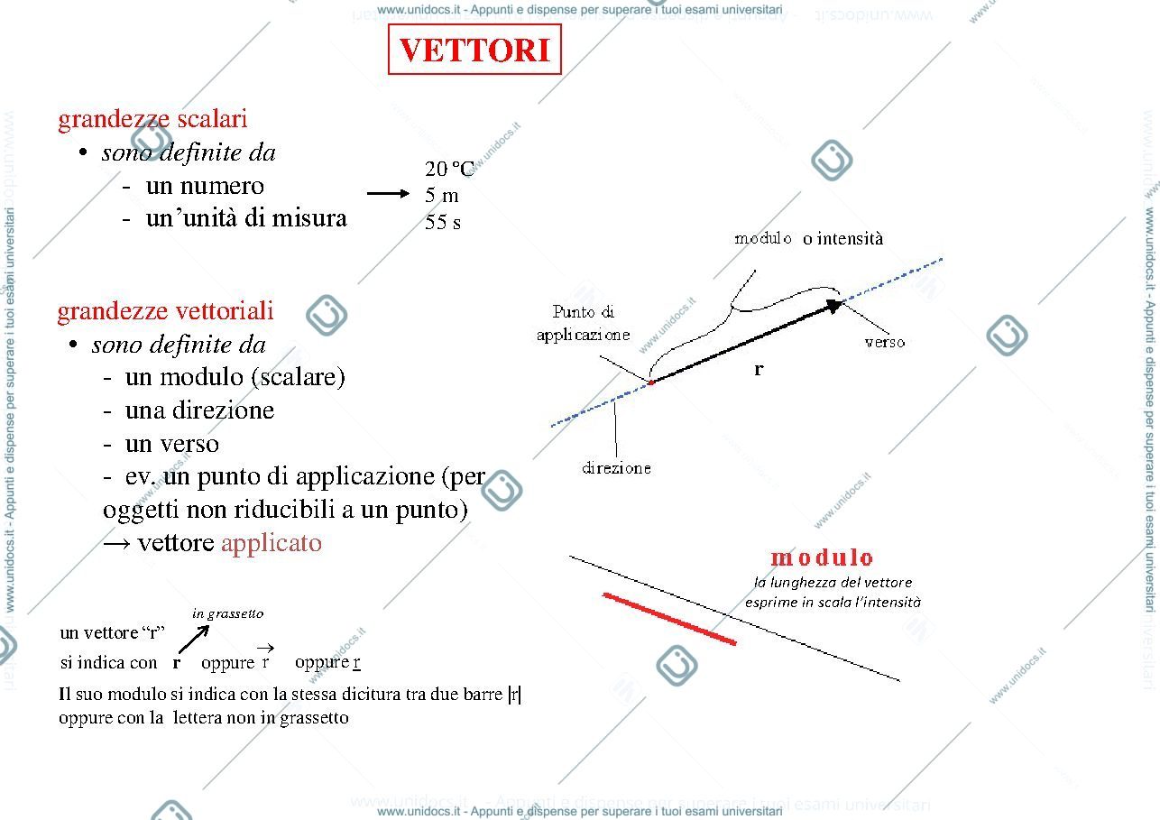 Anteprima pagina 1 — schema sui vettori 
