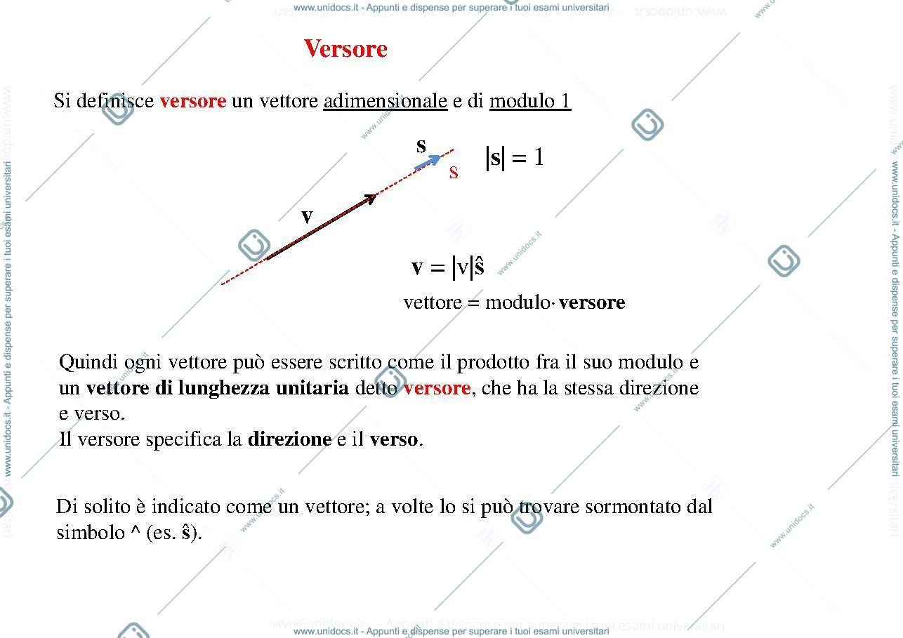 Anteprima pagina 3 — schema sui vettori 
