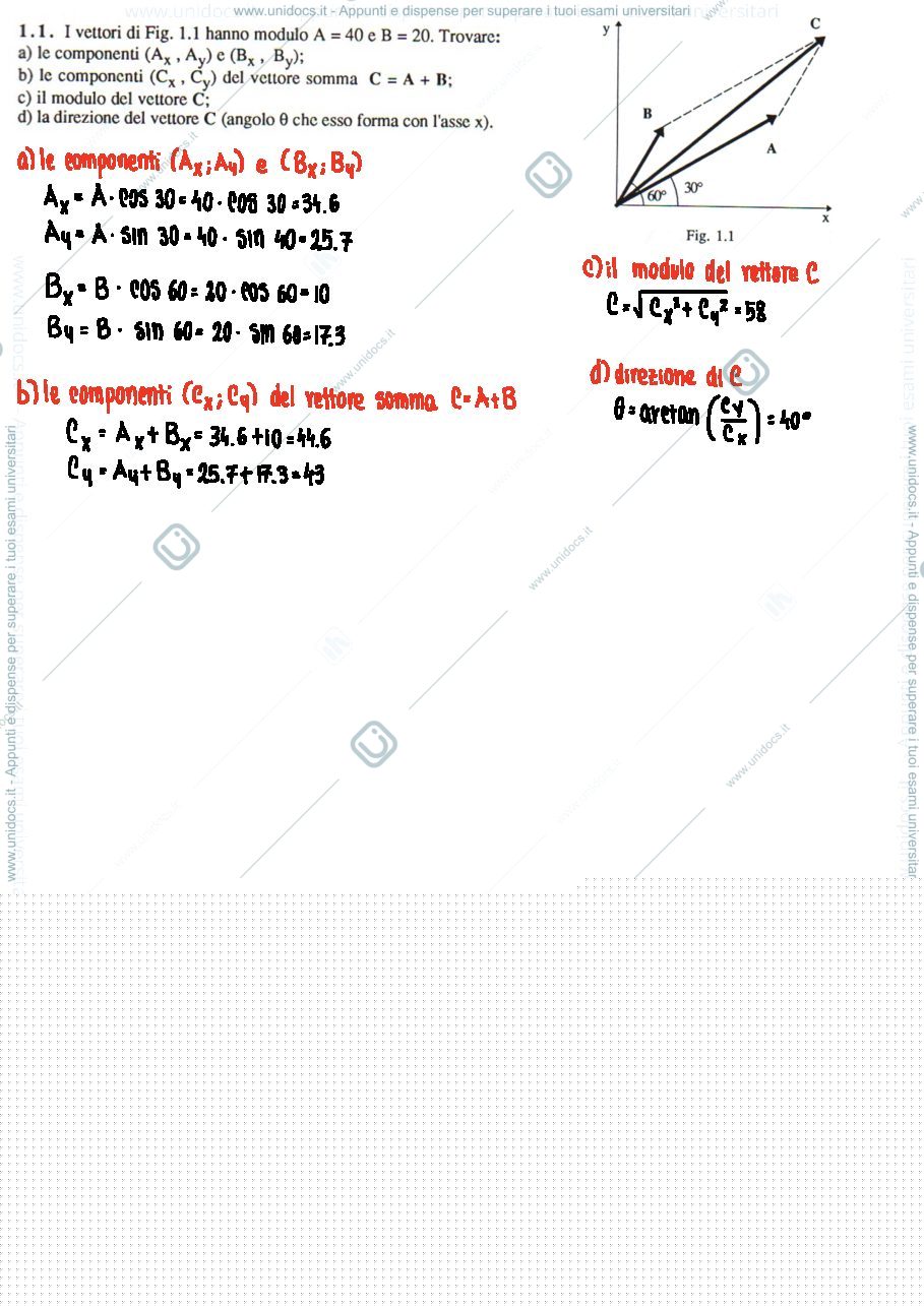 Anteprima pagina 1 — Esercizi di fisica vettori