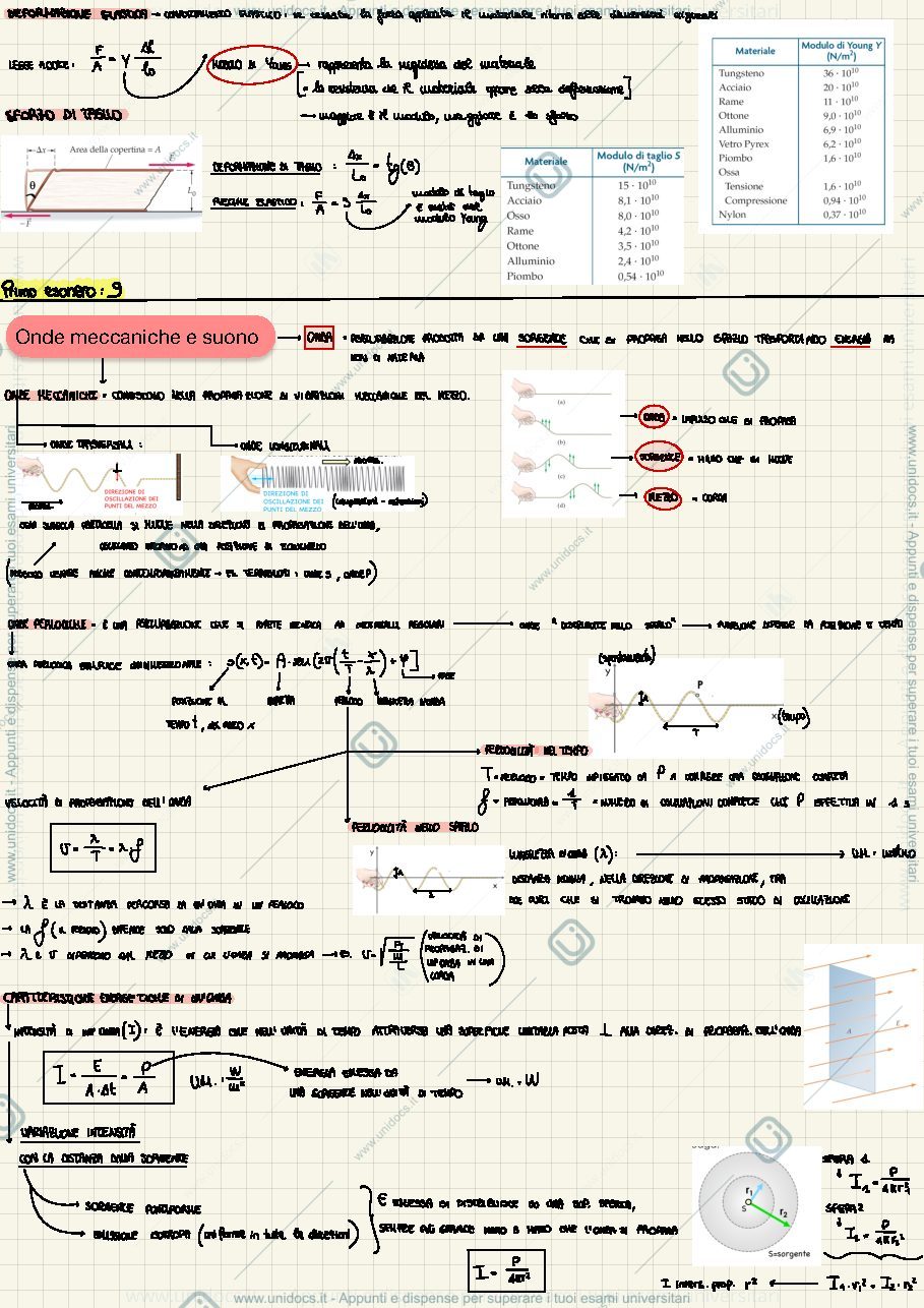 Anteprima pagina 1 — Fisica appunti