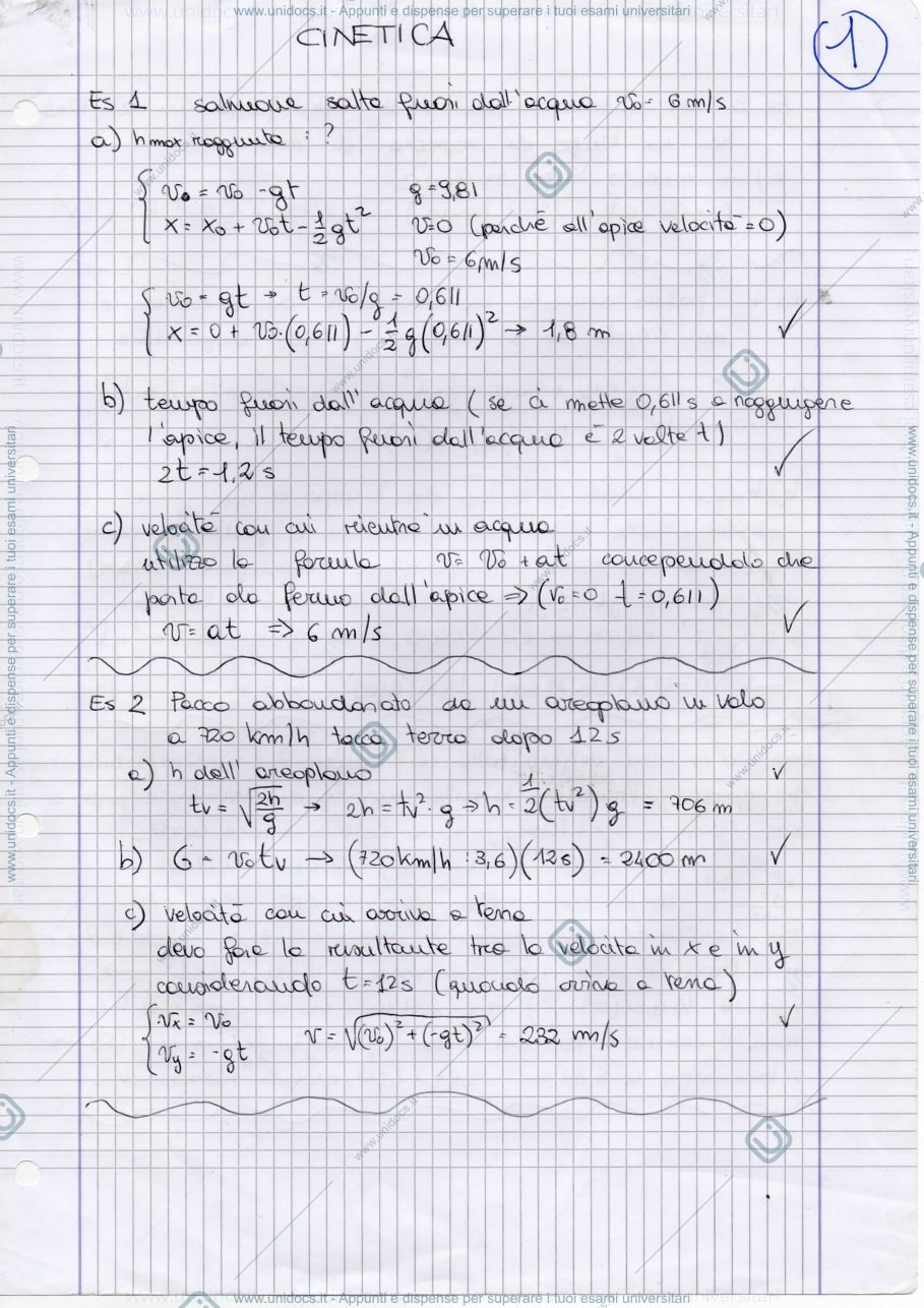 Anteprima pagina 1 — Esercizi Fisica
