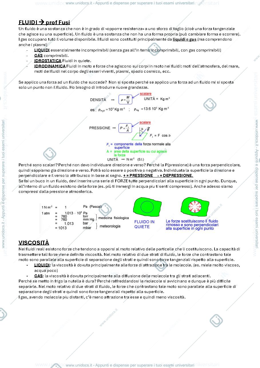 Anteprima pagina 1 — Appunti fisica fusi
