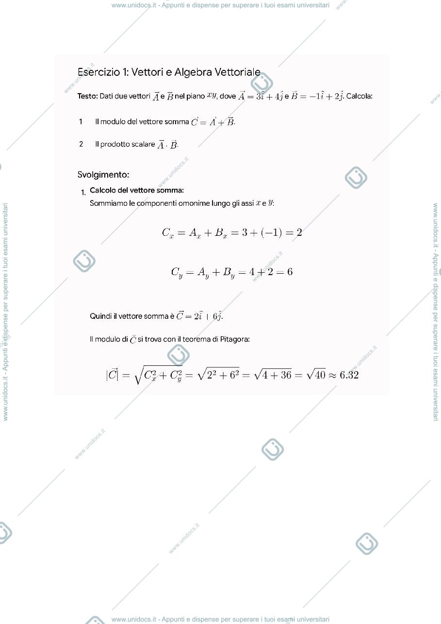 Anteprima pagina 1 — Problemi di Fisica