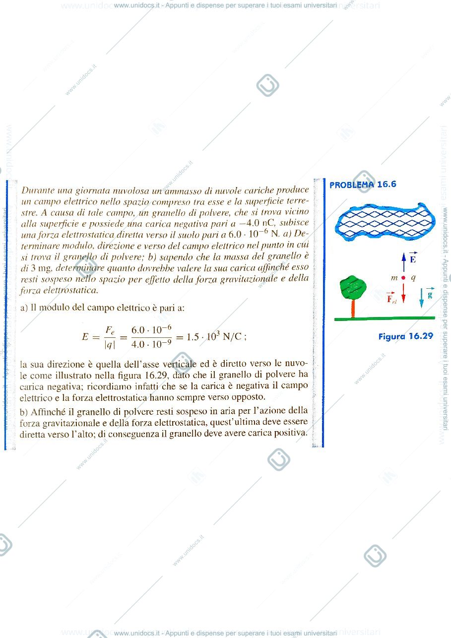 Anteprima pagina 1 — fisica