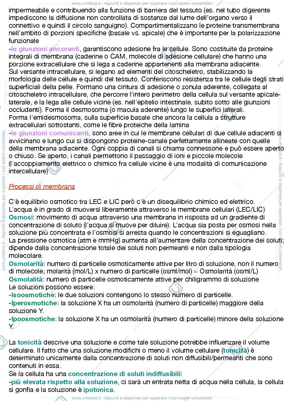 Anteprima pagina 3 — Appunti di Fisiologia, facoltà delle Scienze Motorie e Sportive