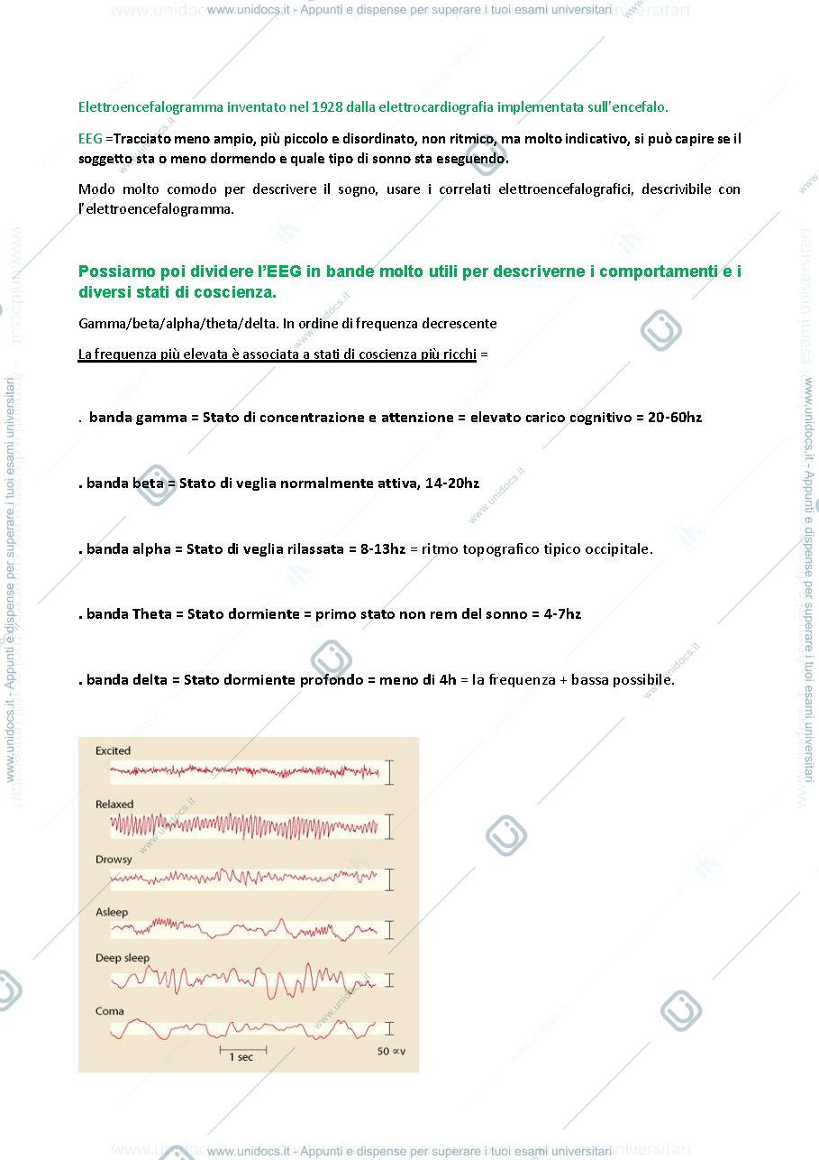 Anteprima pagina 2 — Appunti ugo faraguna fisiologia applicata