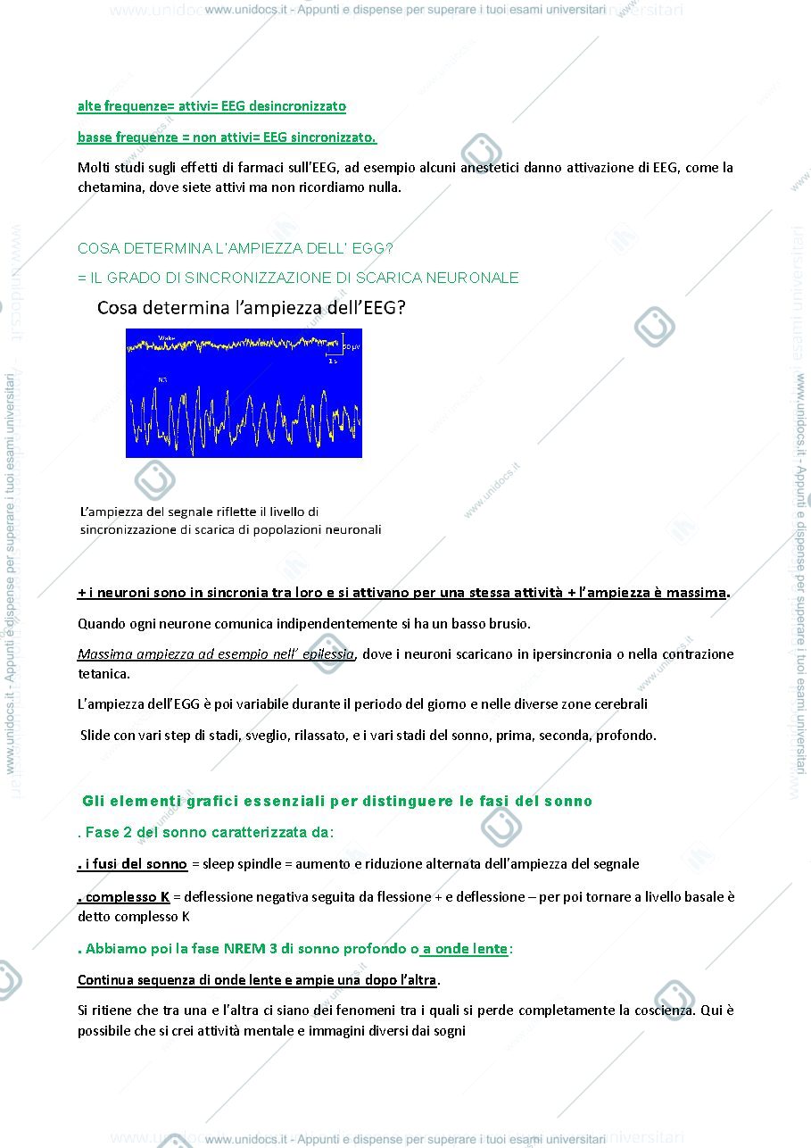 Anteprima pagina 3 — Appunti ugo faraguna fisiologia applicata