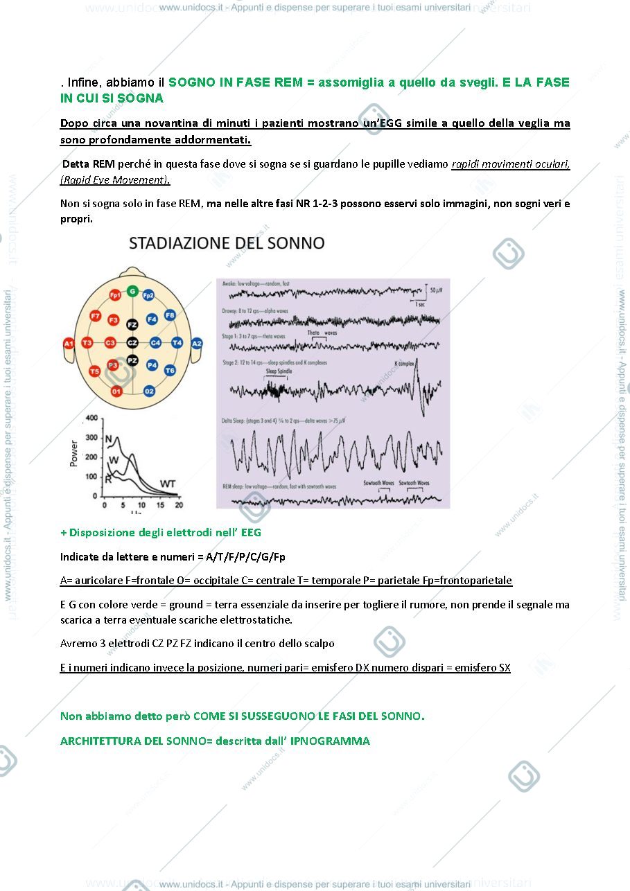 Anteprima pagina 4 — Appunti ugo faraguna fisiologia applicata