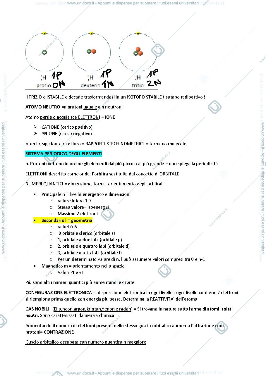 Anteprima pagina 2 — Biochimica parte 1