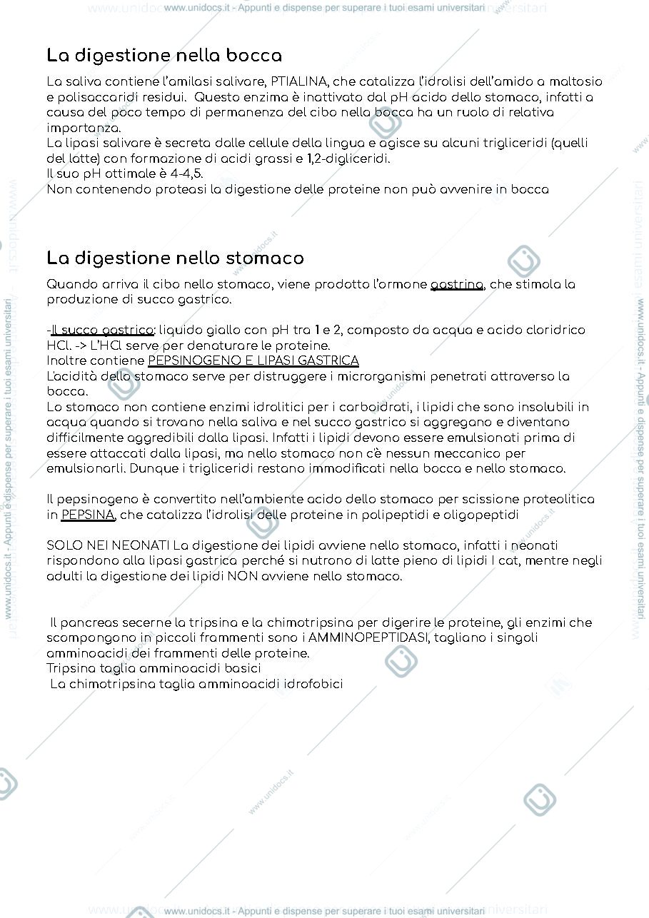 Anteprima pagina 2 — Biochimica secondo semestre