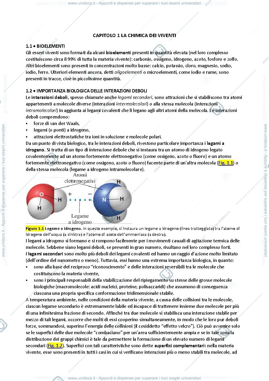 Anteprima pagina 1 — ofa biologia