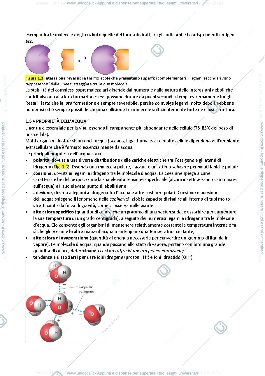 Anteprima pagina 2 — ofa biologia