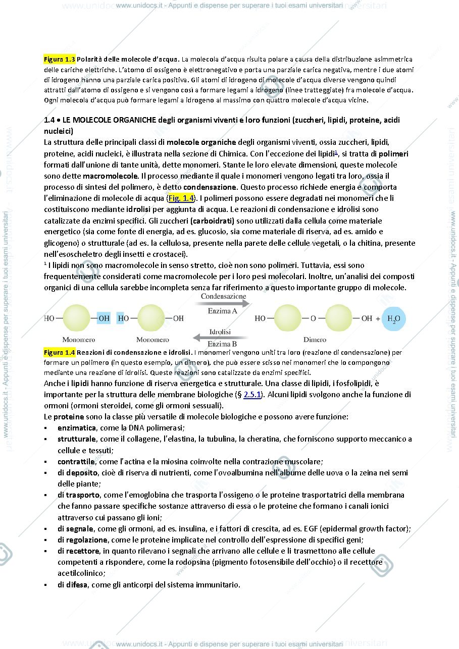 Anteprima pagina 3 — ofa biologia