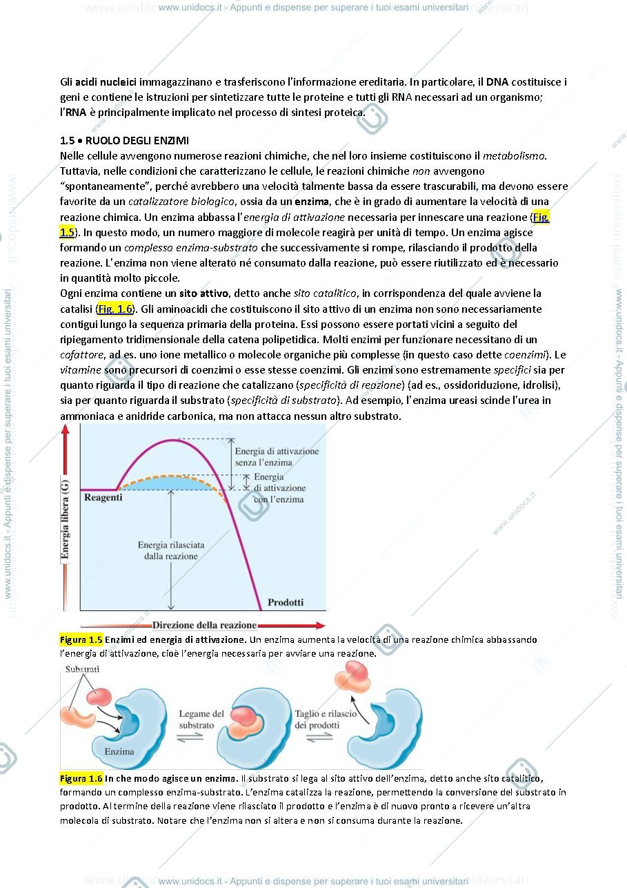 Anteprima pagina 4 — ofa biologia