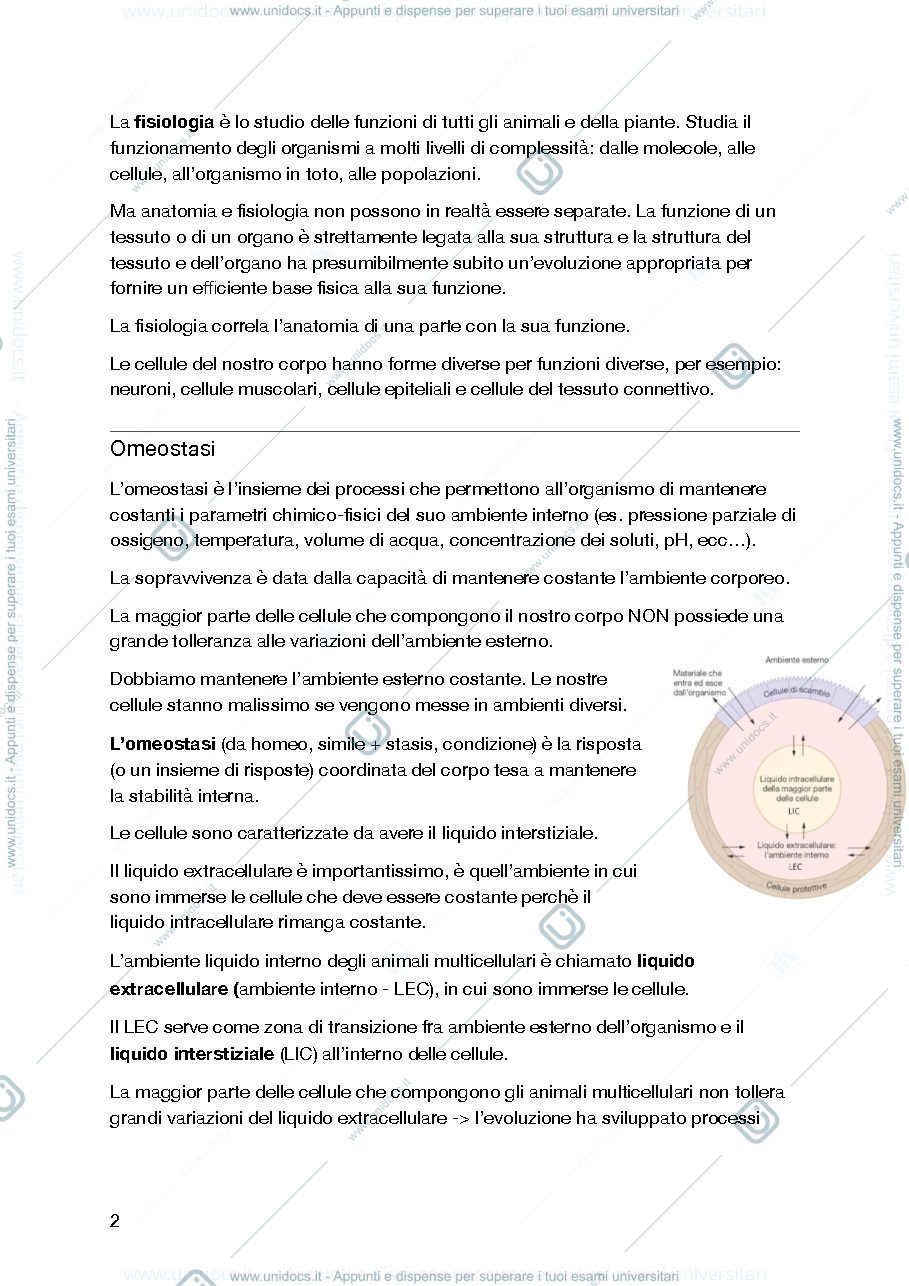 Anteprima pagina 2 — Fisiologia