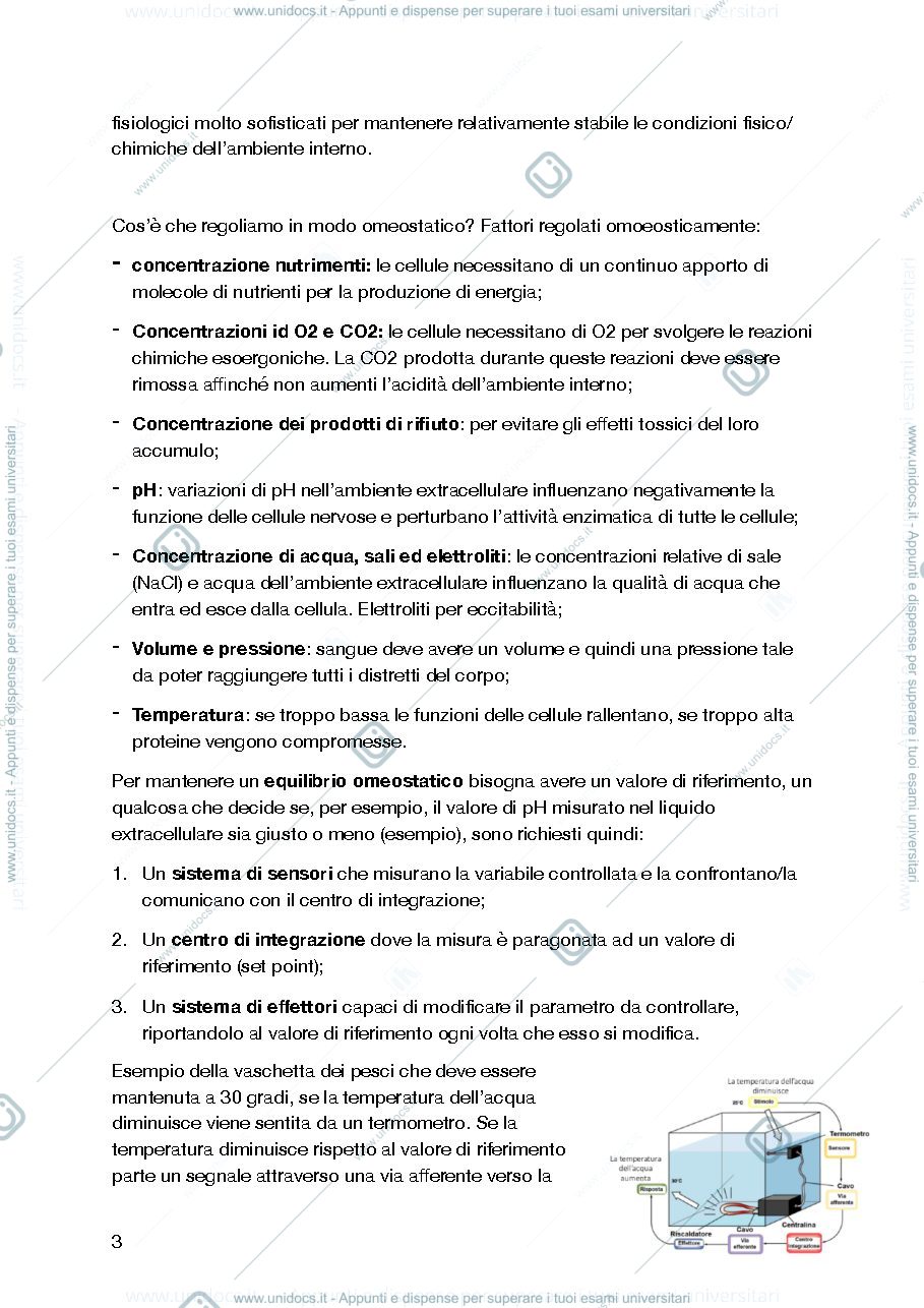 Anteprima pagina 3 — Fisiologia