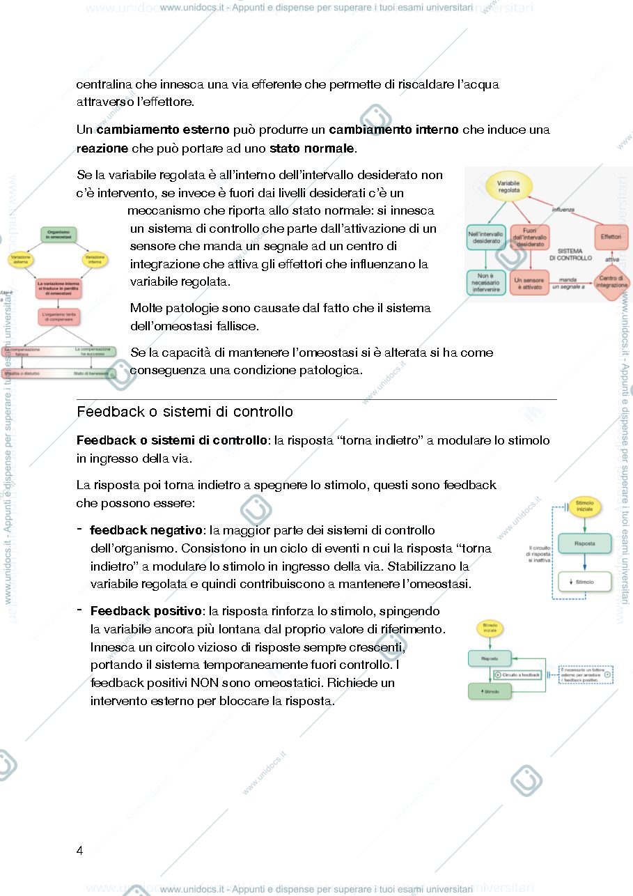 Anteprima pagina 4 — Fisiologia