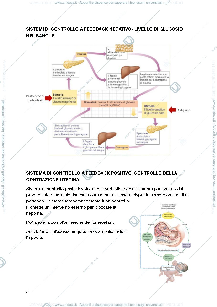 Anteprima pagina 5 — Fisiologia