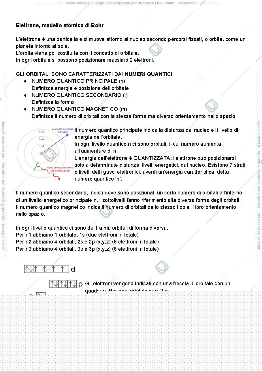 Anteprima pagina 2 — Biochimica