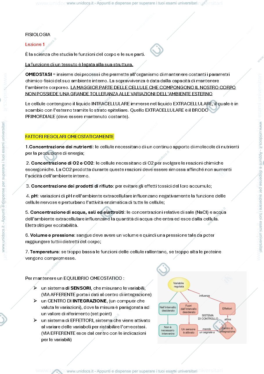 Anteprima pagina 1 — Fisiologia