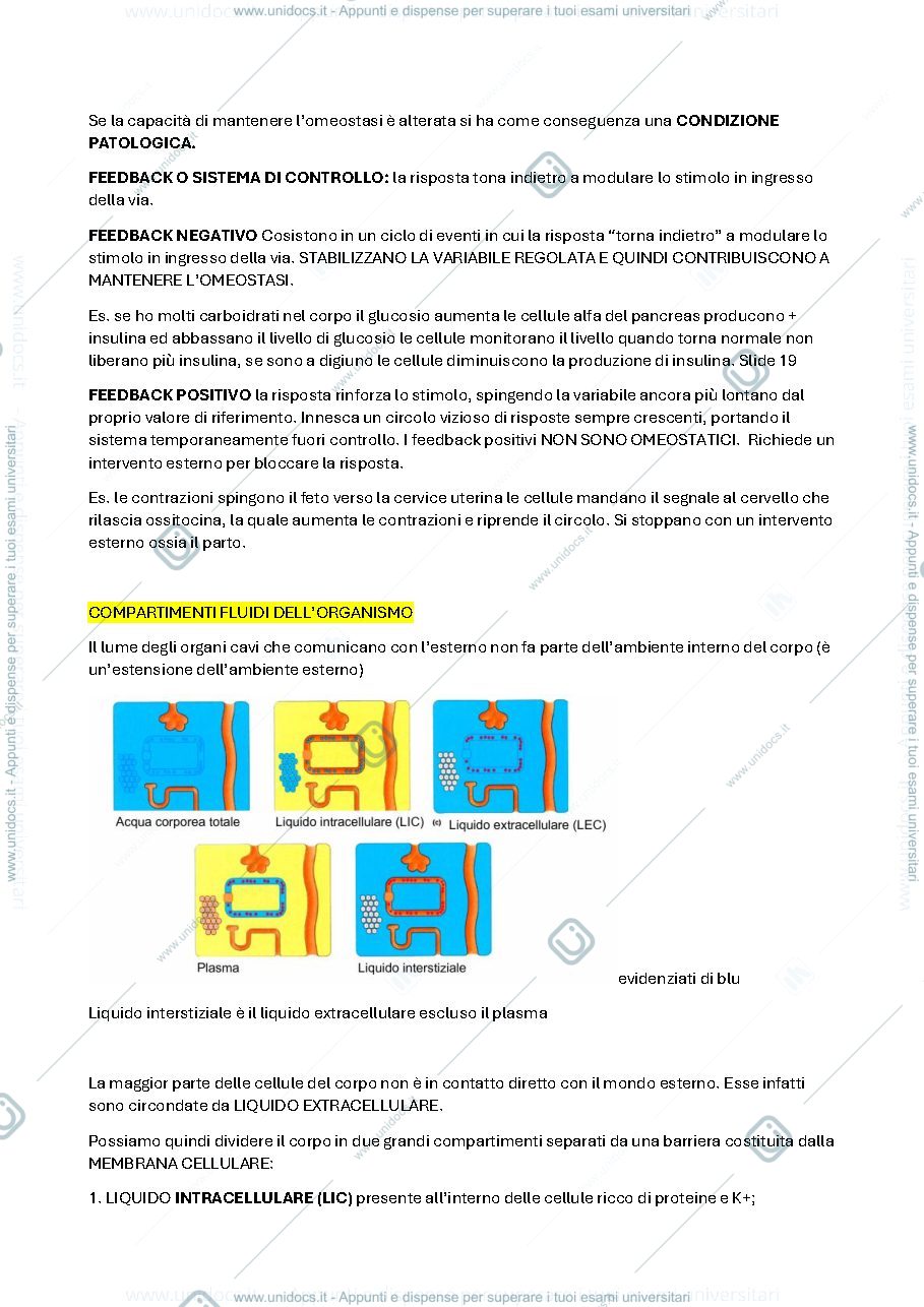 Anteprima pagina 2 — Fisiologia