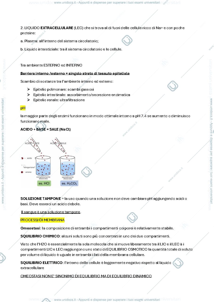 Anteprima pagina 3 — Fisiologia